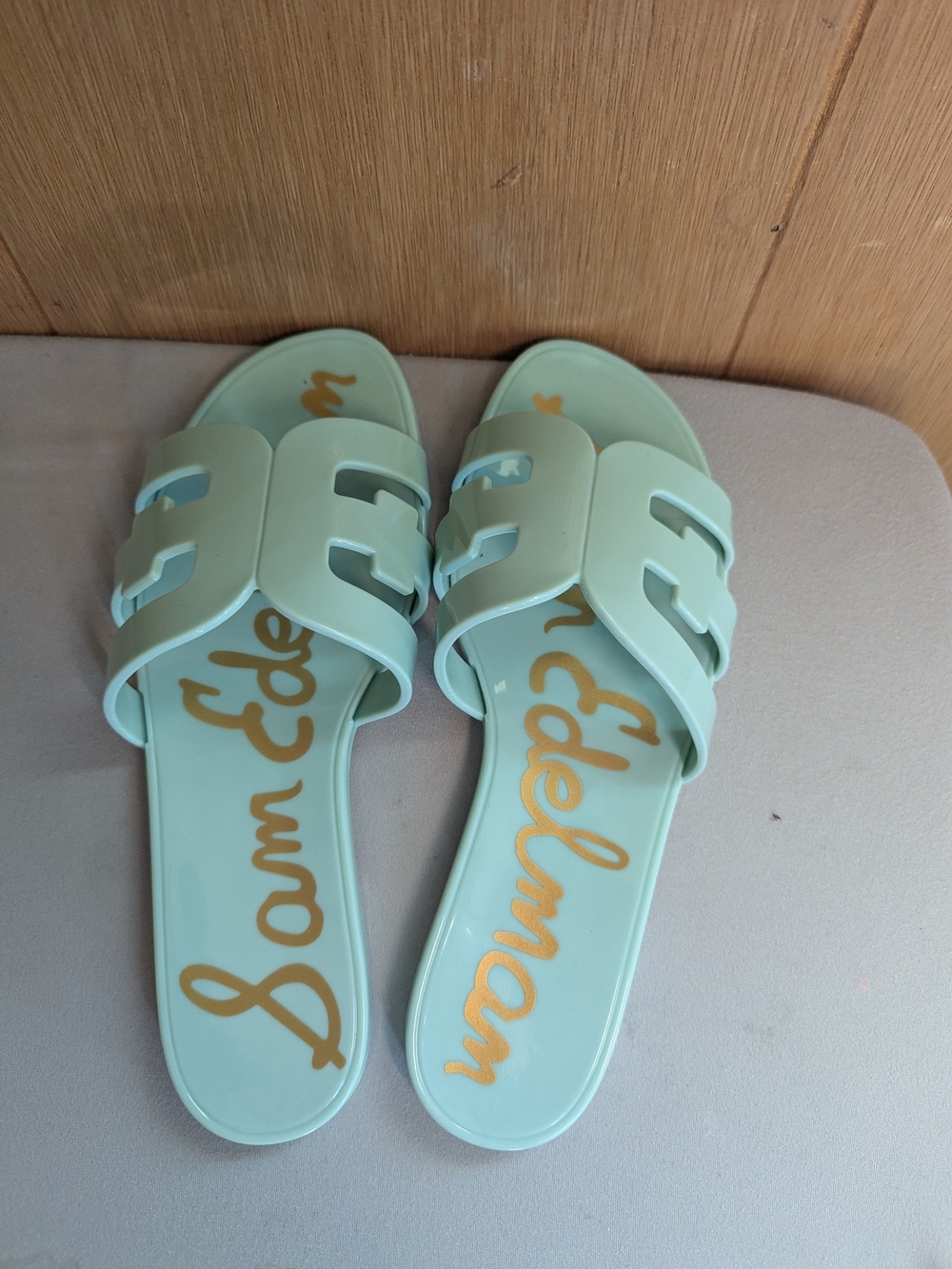 Sam Edelman Bay Jelly Sandals - Picture 3 of 5